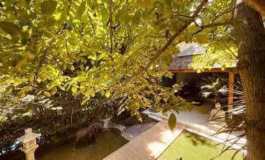 Casa en Arriendo en La Higuera / Camino Central