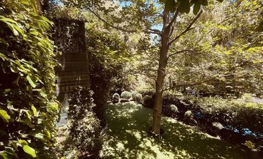 Casa en Arriendo en La Higuera / Camino Central