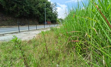 LOTE EN ARRIENDO VIA PANAMERICANA/MANIZALES