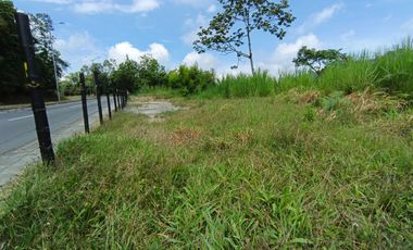 LOTE EN ARRIENDO VIA PANAMERICANA/MANIZALES