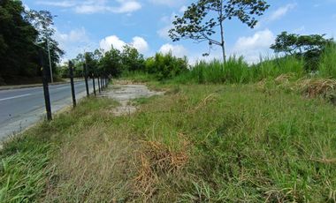 LOTE EN ARRIENDO VIA PANAMERICANA/MANIZALES