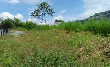 LOTE EN ARRIENDO VIA PANAMERICANA/MANIZALES