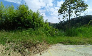 LOTE EN ARRIENDO VIA PANAMERICANA/MANIZALES