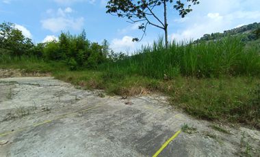 LOTE EN ARRIENDO VIA PANAMERICANA/MANIZALES