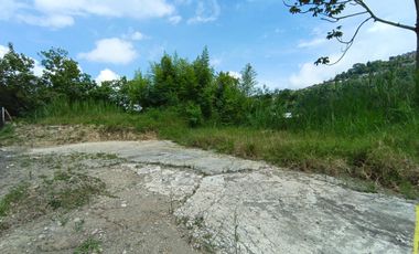 LOTE EN ARRIENDO VIA PANAMERICANA/MANIZALES