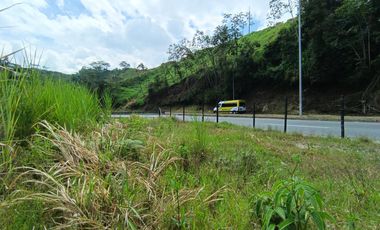 LOTE EN ARRIENDO VIA PANAMERICANA/MANIZALES