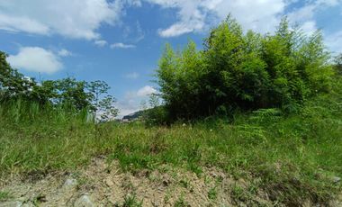 LOTE EN ARRIENDO VIA PANAMERICANA/MANIZALES