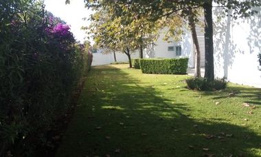 Exclusivo Departamento En Renta  Lugano Zona Andares