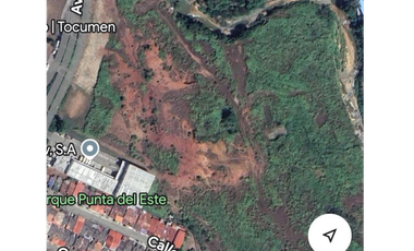 TERRENO / TOCUMEN / 2 HECTAREAS / VIA PRINCIPAL / ZONA URBANA