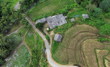 Dijual Tanah di Tempuran Magelang Jawa Tengah