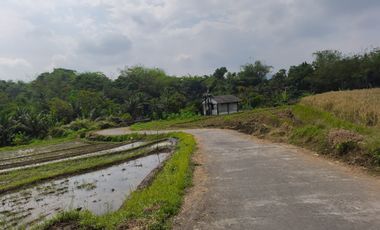 Dijual Tanah di Tempuran Magelang Jawa Tengah