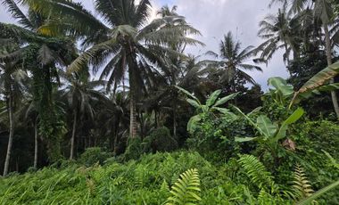 Dijual tanah dekat villa berkembang di tabanan bali
