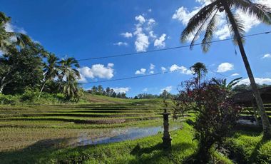 Dijual tanah dekat villa berkembang di tabanan bali