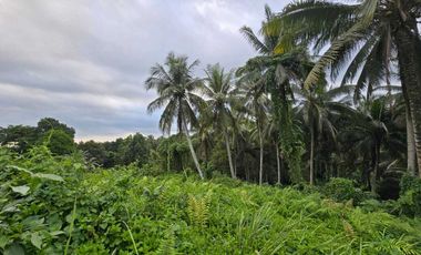 Dijual tanah dekat villa berkembang di tabanan bali