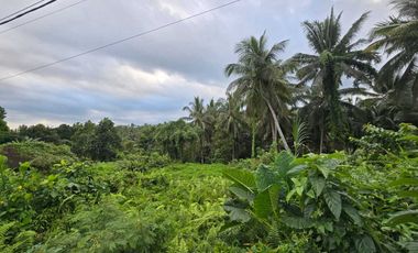 Dijual tanah dekat villa berkembang di tabanan bali
