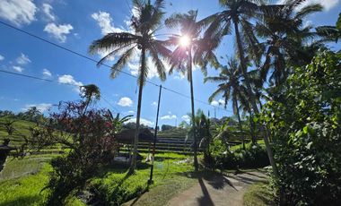 Dijual tanah dekat villa berkembang di tabanan bali