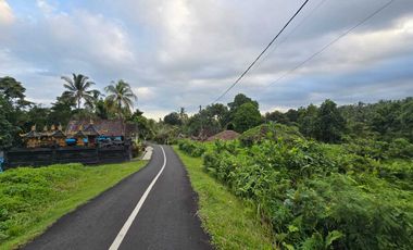 Dijual tanah dekat villa berkembang di tabanan bali
