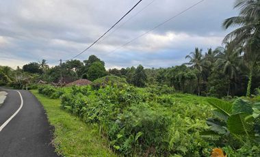 Dijual tanah dekat villa berkembang di tabanan bali