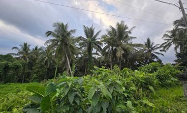 Dijual tanah dekat villa berkembang di tabanan bali