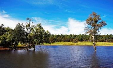 TERRENO EN VENTA BOSQUE EL MANTO