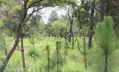 TERRENO EN VENTA BOSQUE EL MANTO