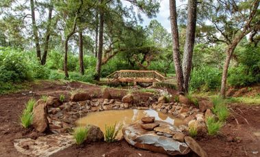 TERRENO EN VENTA BOSQUE EL MANTO