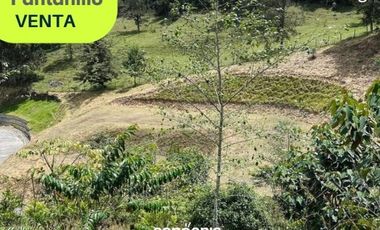 Lote en venta- El Retiro- Pantanillo