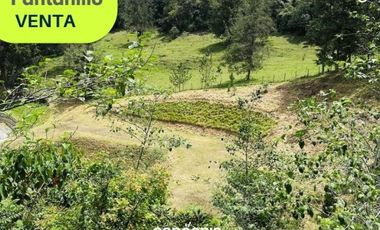 Lote en venta- El Retiro- Pantanillo