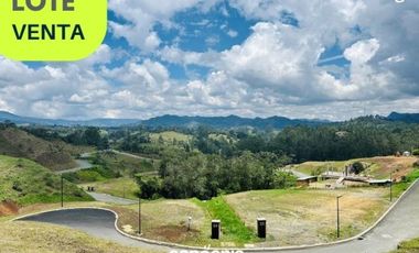 Lote en venta- El Retiro- Pantanillo