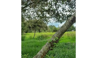 SE VENDE HERMOSO LOTE ESQUINERO EN LA VEREDA EL ALTO DEL AGUILA