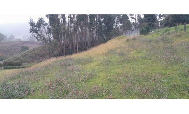 SE VENDE HERMOSO LOTE ESQUINERO EN LA VEREDA EL ALTO DEL AGUILA