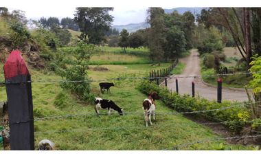 SE VENDE HERMOSO LOTE ESQUINERO EN LA VEREDA EL ALTO DEL AGUILA
