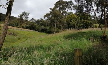 SE VENDE HERMOSO LOTE ESQUINERO EN LA VEREDA EL ALTO DEL AGUILA