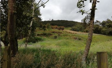 SE VENDE HERMOSO LOTE ESQUINERO EN LA VEREDA EL ALTO DEL AGUILA