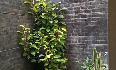 RUMAH MURAH UJUNG BERUNG MAINROAD A.H.NASUTION BANDUNG TIMUR