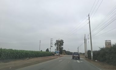 Terreno en Venta 1.5 hectáreas en Quilmaná - Cañete
