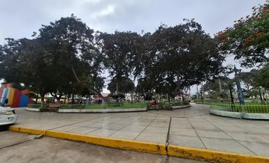 Terreno en Venta 1.5 hectáreas en Quilmaná - Cañete