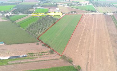 Terreno en Venta 1.5 hectáreas en Quilmaná - Cañete