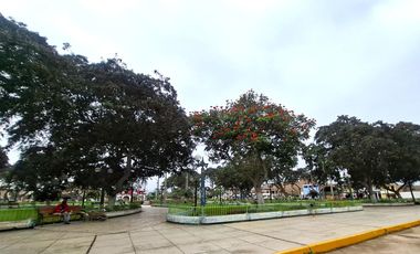 Terreno en Venta 1.5 hectáreas en Quilmaná - Cañete