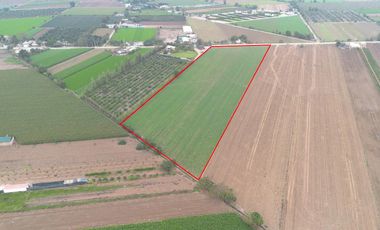 Terreno en Venta 1.5 hectáreas en Quilmaná - Cañete