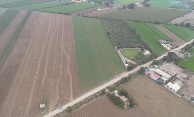 Terreno en Venta 1.5 hectáreas en Quilmaná - Cañete