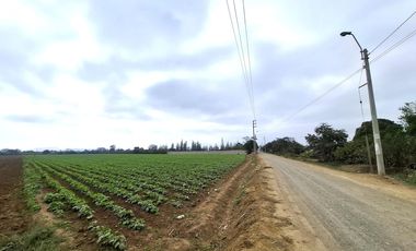 Terreno en Venta 1.5 hectáreas en Quilmaná - Cañete
