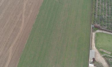 Terreno en Venta 1.5 hectáreas en Quilmaná - Cañete