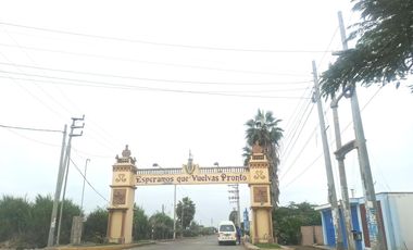 Terreno en Venta 1.5 hectáreas en Quilmaná - Cañete