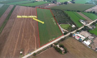 Terreno en Venta 1.5 hectáreas en Quilmaná - Cañete