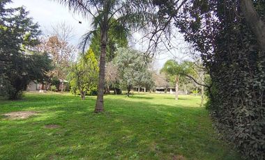 VENTA CASA QUINTA 3 AMB TRISTAN SUAREZ PARQUE