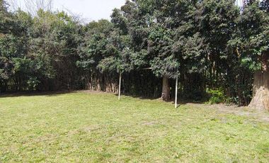 VENTA CASA QUINTA 3 AMB TRISTAN SUAREZ PARQUE