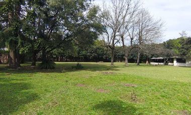 VENTA CASA QUINTA 3 AMB TRISTAN SUAREZ PARQUE