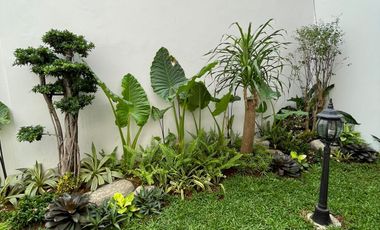 Dijual Rumah MURAH Mewah Siap Huni di area Tanjung Duren, Jalan Besar