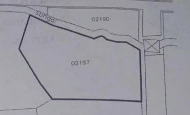 Tanah nol jalan cor dawar mojokerto